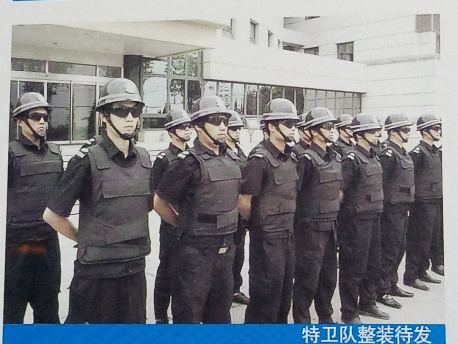 特卫服务